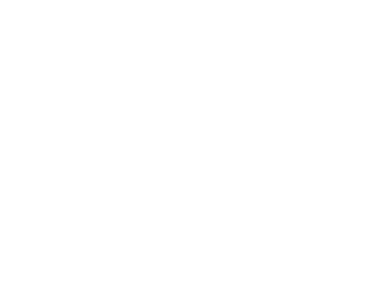 connect icon
